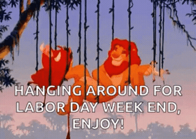The Lion King Simba And Timon Are Swinging On A Tree Branch . GIF