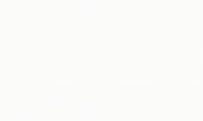 The Logo For Big Dill Pickleball Co GIF