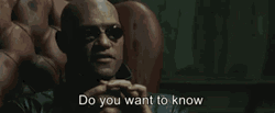 The Matrix What It Is Morpheus GIF