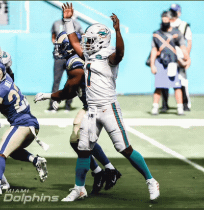 The Miami Dolphins Are Playing Against The San Francisco 49Ers GIF