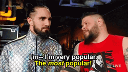 The Most Popular We Seth Rolins GIF