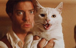 The Mummy Arnold Vosloo Turns To Sand GIF