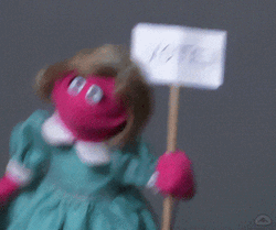 The Muppet Girl Survey  GIF