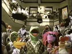 The Muppets Family Partying  GIF