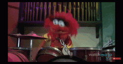 The Muppets Playing Drum GIF