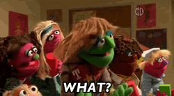 The Muppets Puppets What Wondering GIF