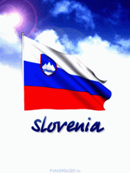 The National Flag Of Slovenia