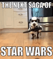 The Next Saga Of Funny Star Wars GIF