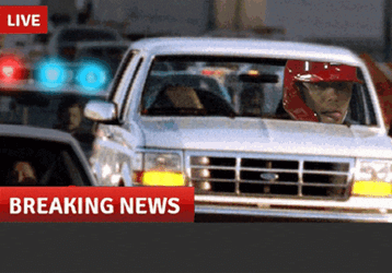 The Noot Is Loose Cardinalsgifs GIF
