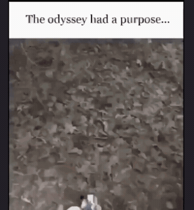 The Odyssey Had A Purpose Written At The Top Of A Picture GIF