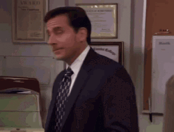 The Office No Annoyed Facial Expression Michael Scott GIF