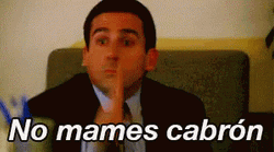 The Office Steve Carell As Michael Scott No Mames Cabron  GIF