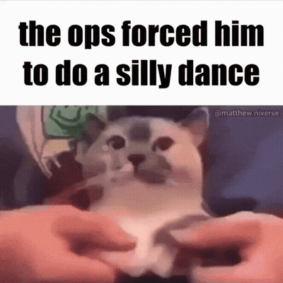The Ops Forced Him To Do A Silly Dance With A Cat In The Foreground GIF