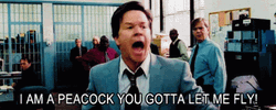 The Other Guys I Am Peacock GIF