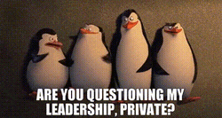 The Penguins Are You Questioning My Leadership