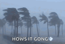 The Perfect Storm Hows It Going GIF