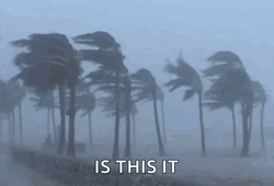 The Perfect Storm Is This It GIF
