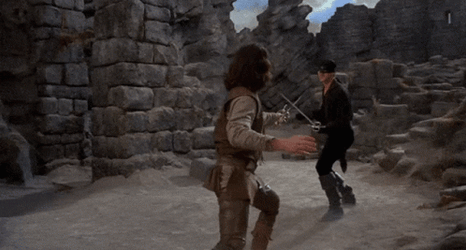 The Princess Bride Sword Fight  GIF