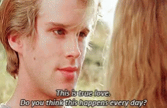 The Princess Bride This Is True Love GIF