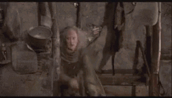 The Princess Bride You Sit On A Throne Of Lies GIF