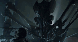 The Queen Xenomorph GIF