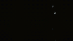 The Rain Water Drip Splash GIF