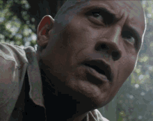 The Rock Eyebrow In Woods GIF
