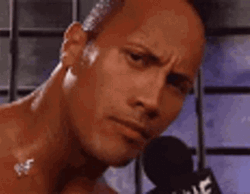 The Rock Eyebrow Meme During Interview GIF