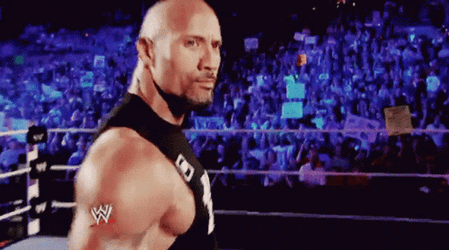 The Rock Eyebrow Meme On Raw GIF