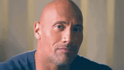 The Rock Eyebrow Meme Serious Face GIF