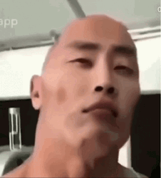 The Rock Eyebrow Meme With Chinese Face GIF
