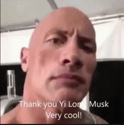 The Rock Eyebrow Raise Chinese Filter Copy Version GIF