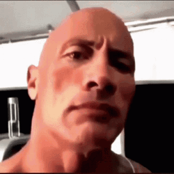 The Rock Eyebrow Raise Go Fish GIF