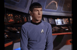 The Rock Eyebrow Raise Star Trek GIF