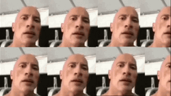 The Rock Meme GIF