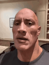 The Rock Meme GIF