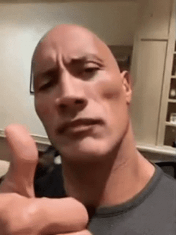 The Rock Meme GIF