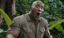 The Rock Shocked Surprised