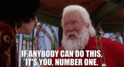 The Santa Clause Everybody Can Do This GIF