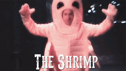 The Shrimp Mascot GIF