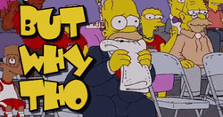 The Simpons Sitcom Homer Simpsons But Why  GIF