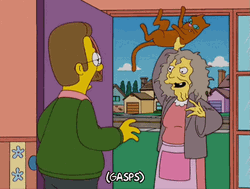 The Simpsons Cat Lady And Ned Flanders GIF