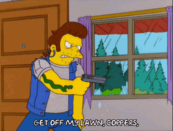 The Simpsons Get Off My Lawn GIF