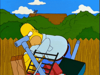 The Simpsons GIF