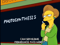 The Simpsons Pronounce Photosynthesis GIF