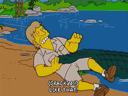 The Simpsons Steve Irwin Being Tossed By Croc GIF
