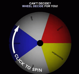 The Spinning Wheel Decide For You GIF