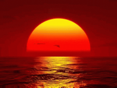 The Sun Is Setting Over The Ocean With Birds Flying Overhead GIF