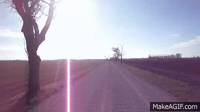 The Sun Is Shining Through The Trees On The Side Of The Road GIF