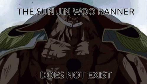 The Sun Jin Woo Banner Does Not Exist Is Written On A Poster GIF